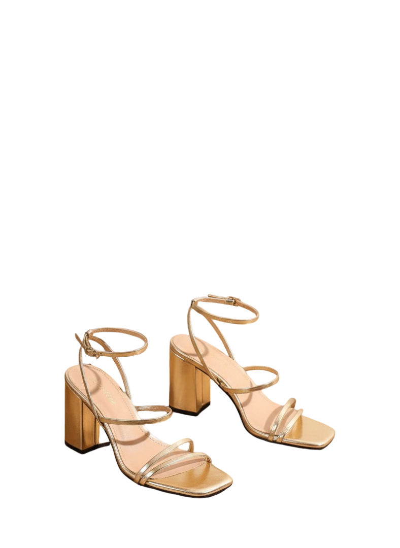 IImage_dx41kpdx41kpdx41 (1)